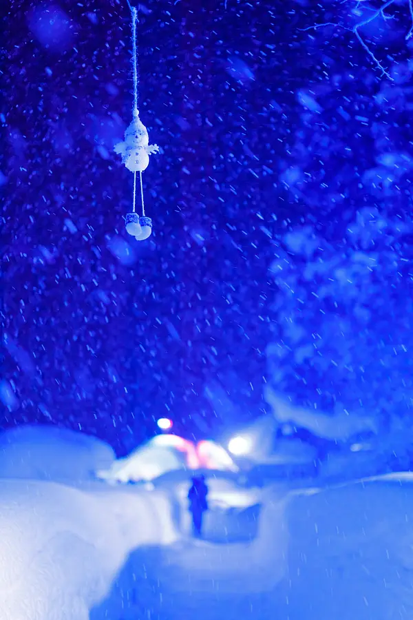 しがっこまつり 4