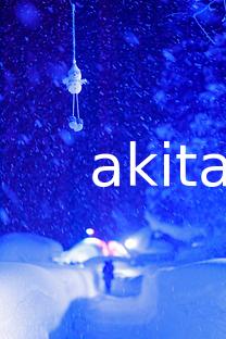 しがっこまつり 4