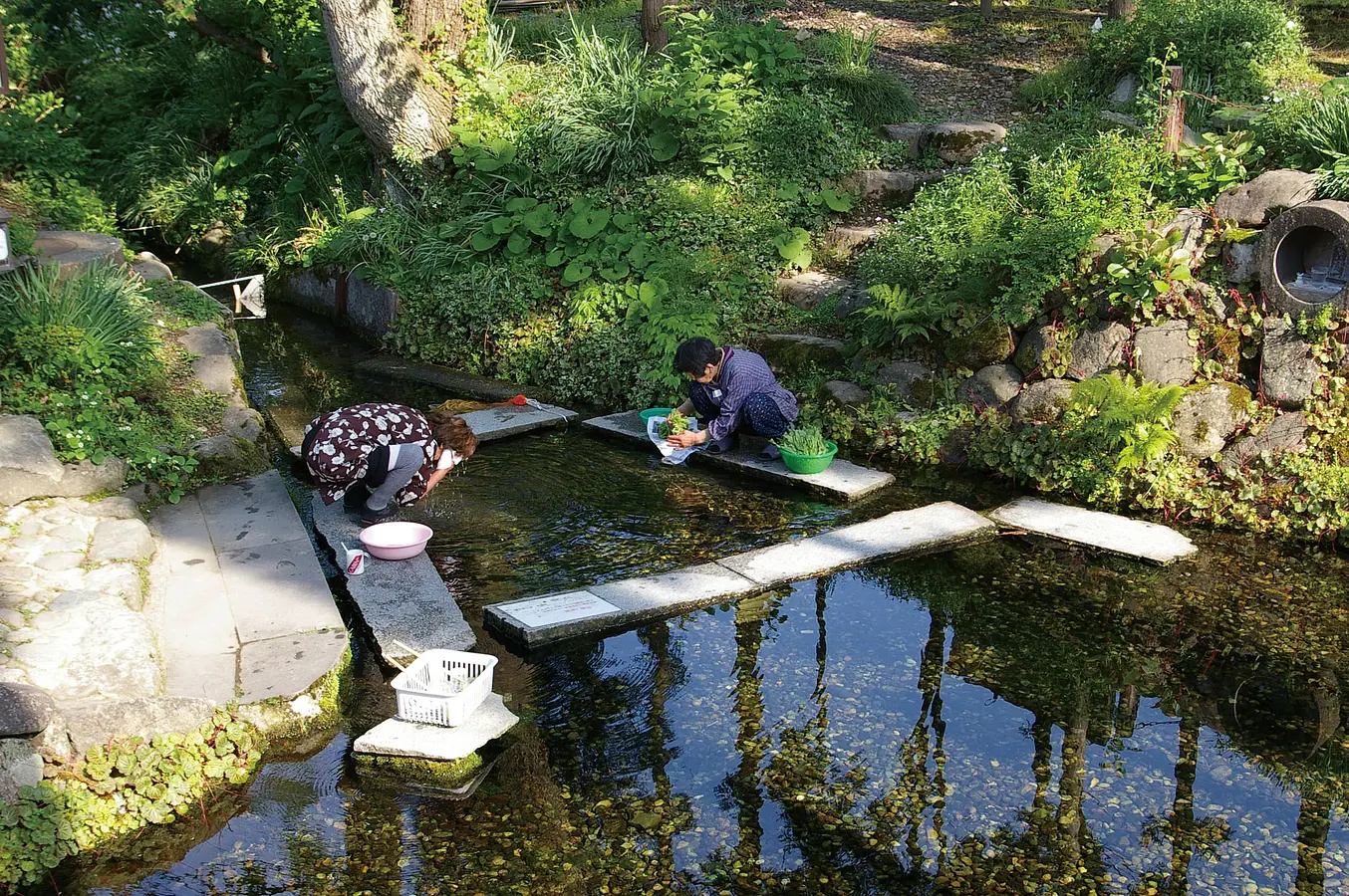 01六郷湧水群