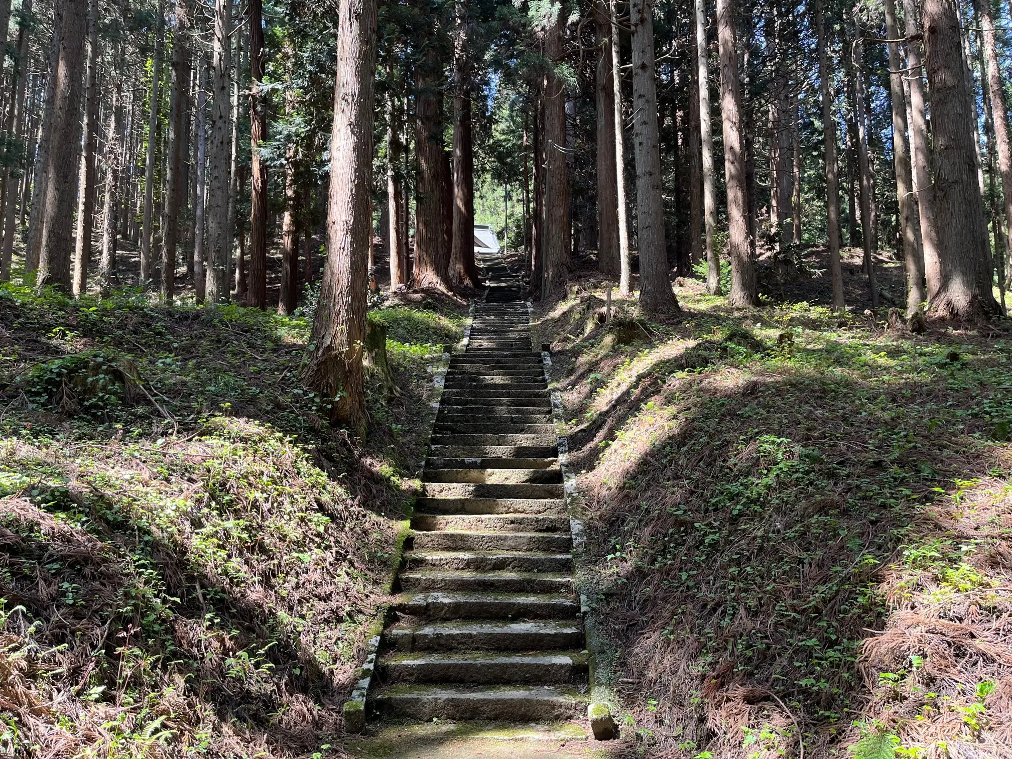 森子大物忌神社（もりこおおものいみじんじゃ）