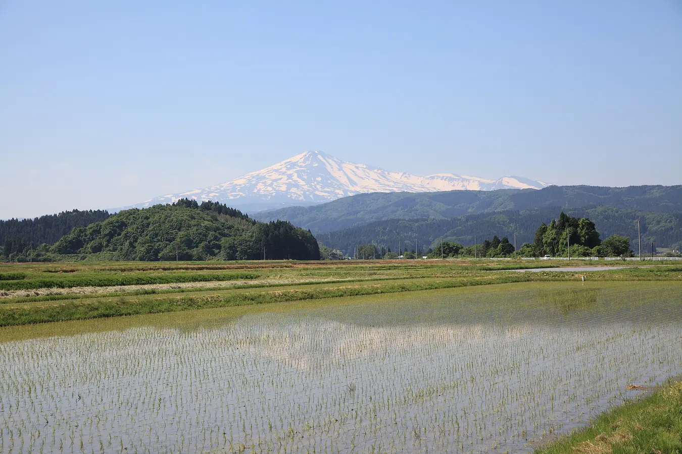 02水田と鳥海山