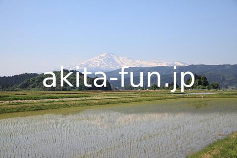 02水田と鳥海山