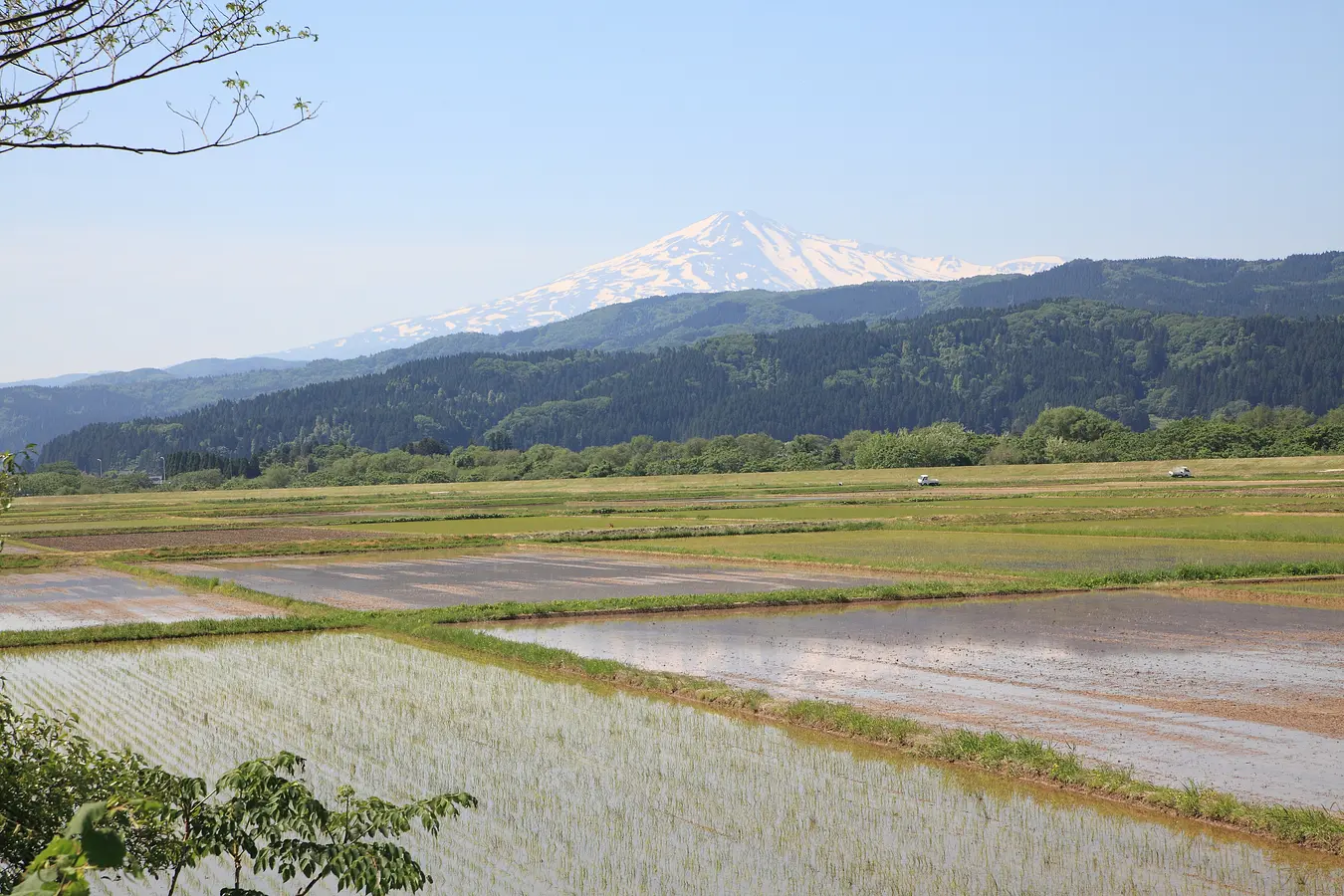 03水田と鳥海山