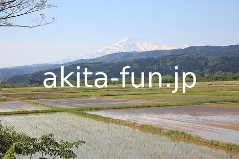 03水田と鳥海山