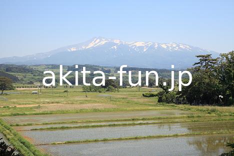 04水田と鳥海山