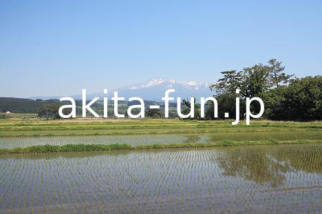 05水田と鳥海山