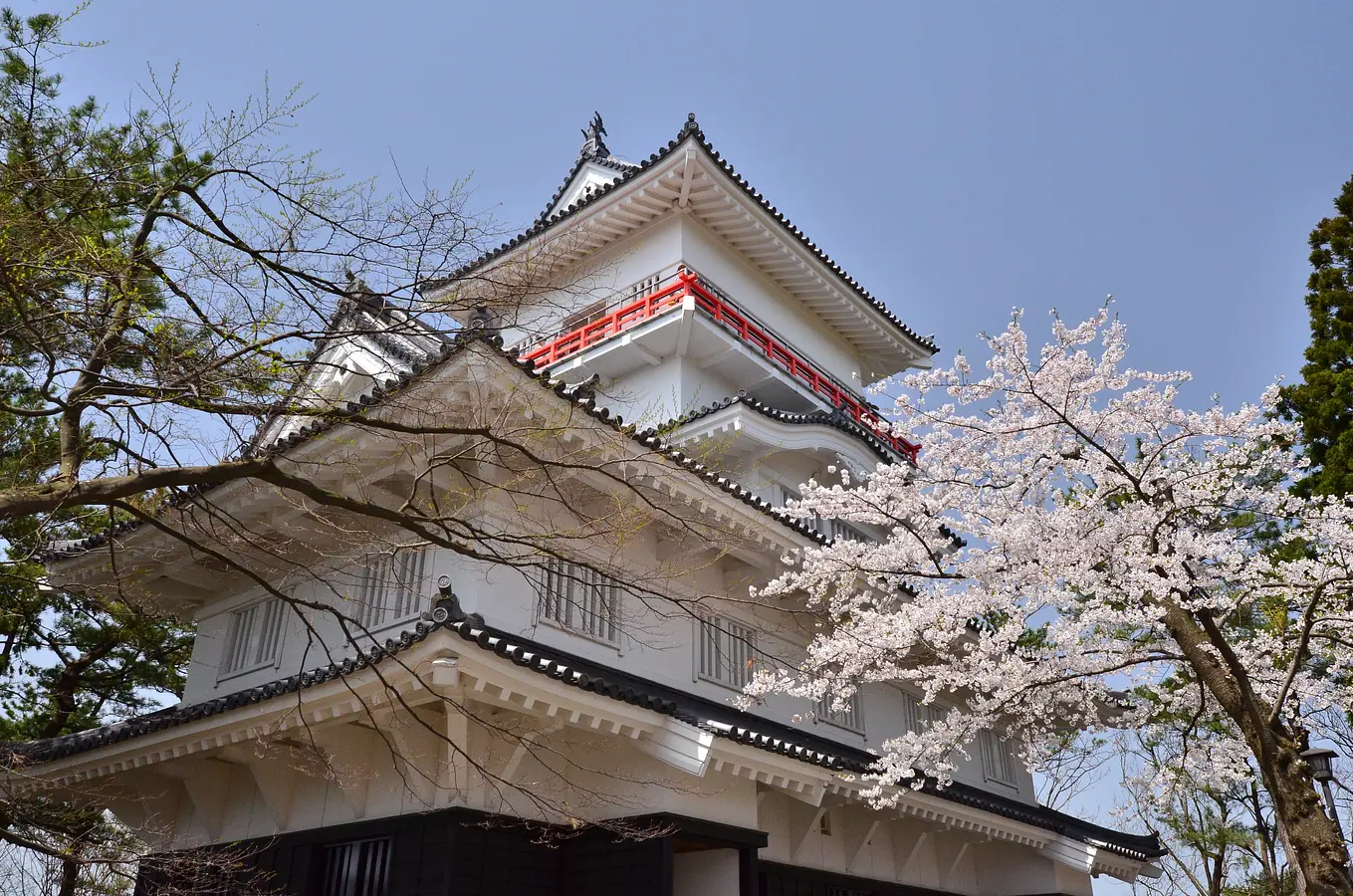 01千秋公園桜まつり