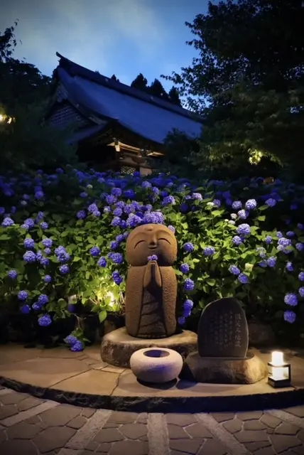 雲昌寺のアジサイ