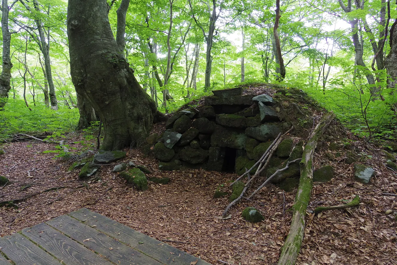 08中島台・獅子ヶ鼻湿原