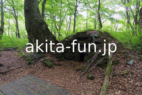 08中島台・獅子ヶ鼻湿原