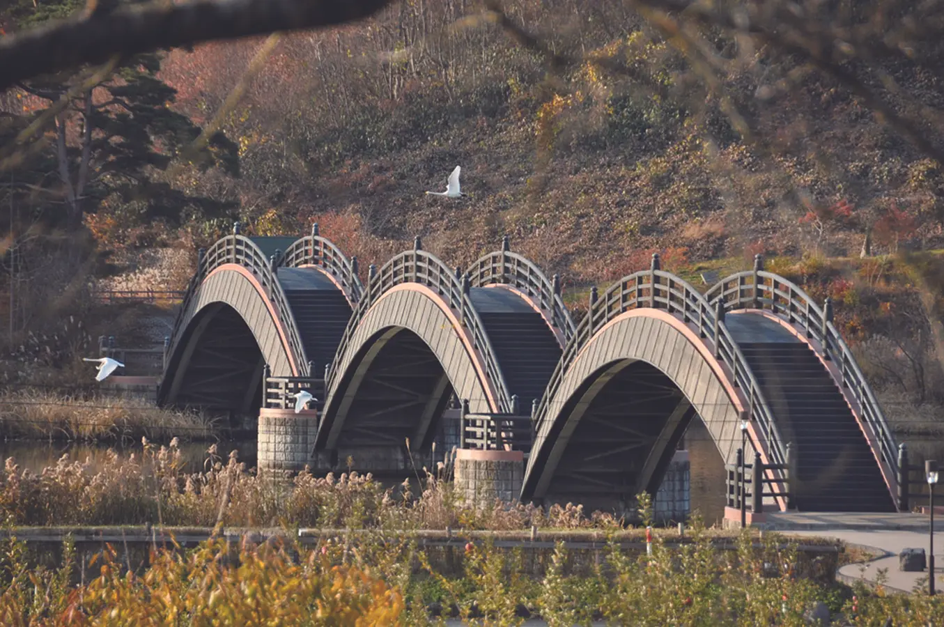 01平安の風わたる公園