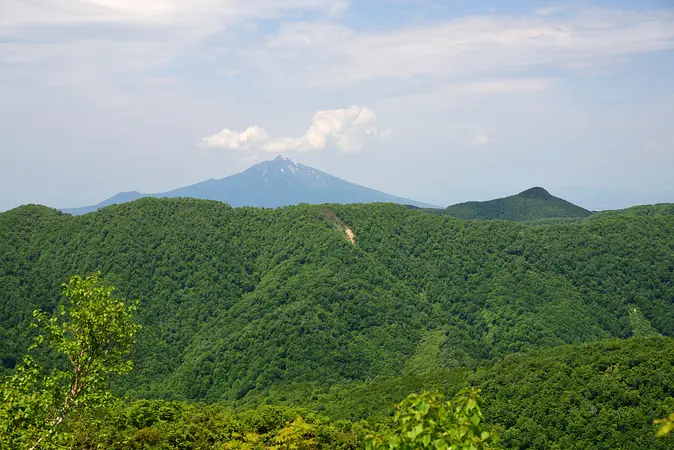 白神山地駒ケ岳の紅葉 | 紅葉情報 | アキタファン