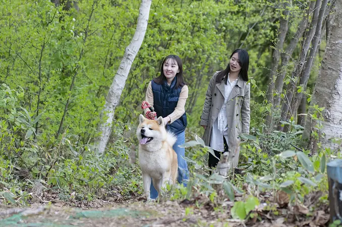 “秋田犬と散歩”する健康ウォーキング