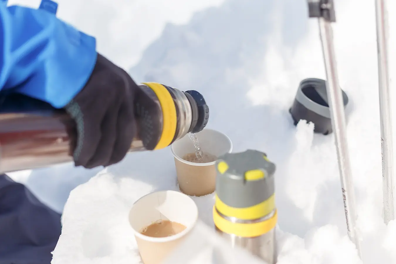 雪国秋田でスノートレッキング！幻想的な雪景色を満喫しよう。 | ブランニューアキタ | アキタファン