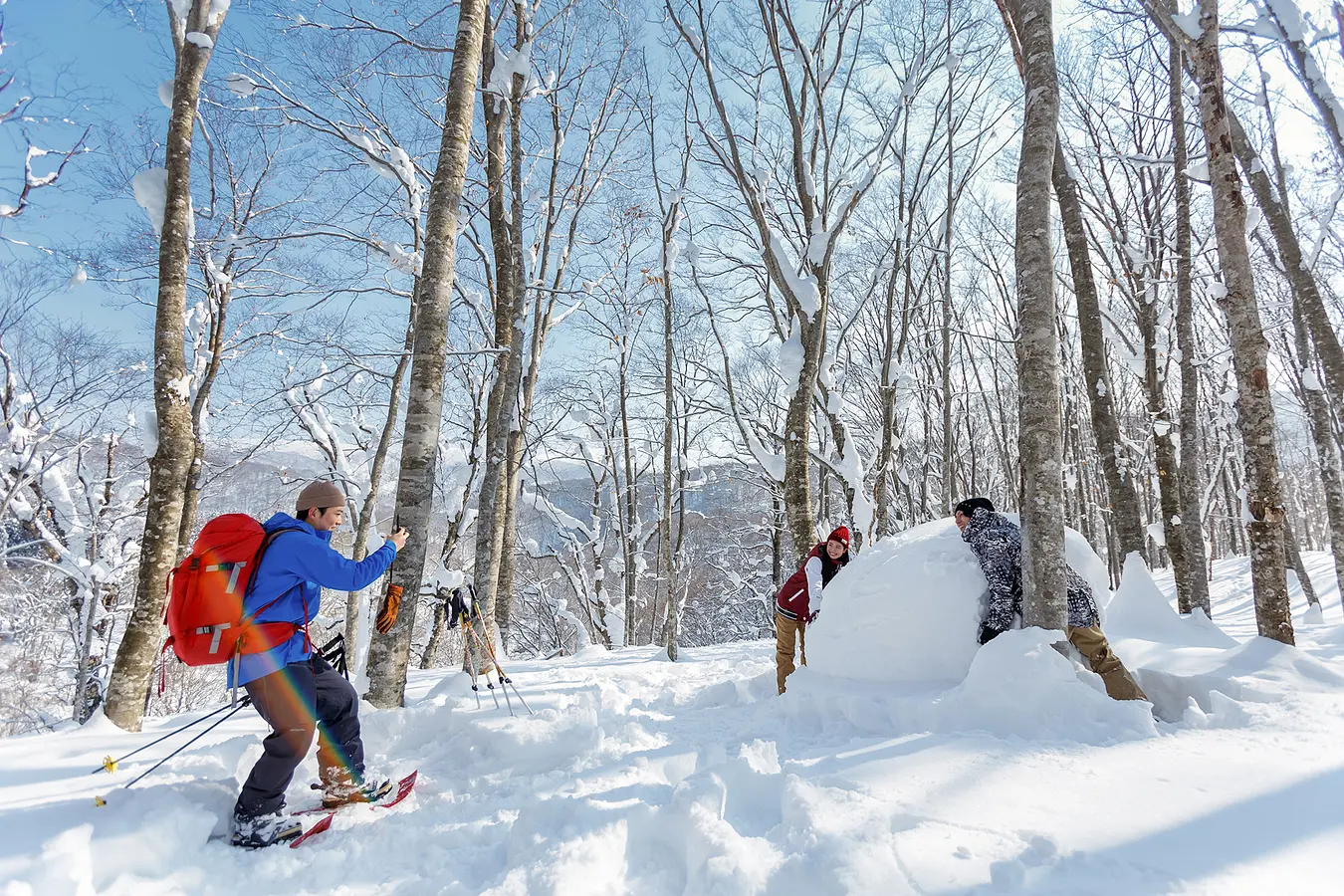 雪国秋田でスノートレッキング！幻想的な雪景色を満喫しよう。 | ブランニューアキタ | アキタファン