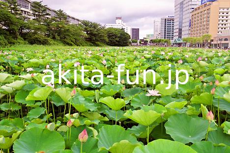 02千秋公園・久保田城