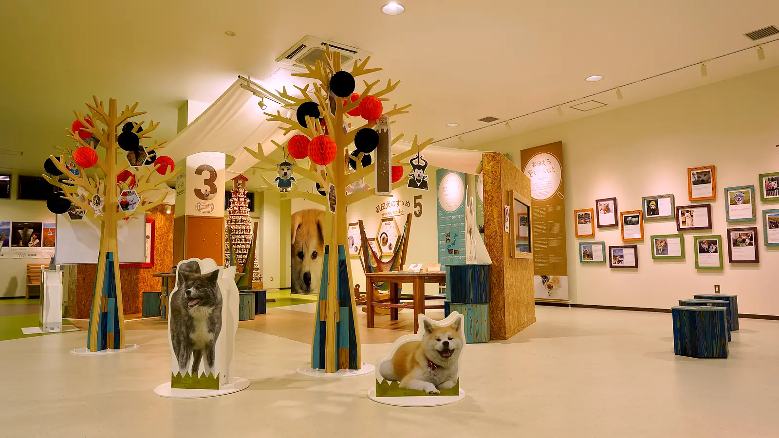 【前編】秋田犬のふるさと大館市へ、癒しのもふもふに会いに行こう！ | ブランニューアキタ | アキタファン