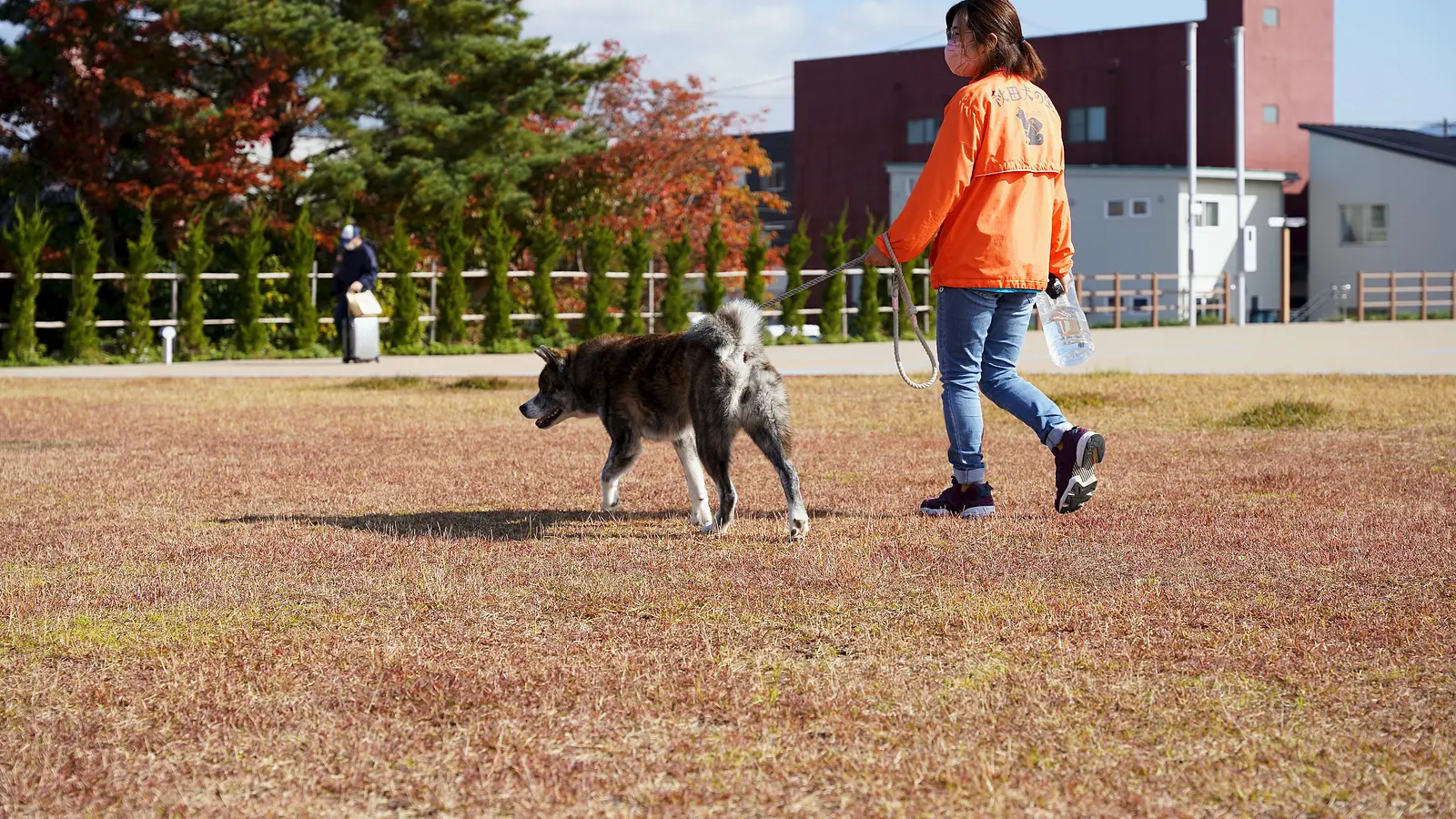 【前編】秋田犬のふるさと大館市へ、癒しのもふもふに会いに行こう！ | ブランニューアキタ | アキタファン