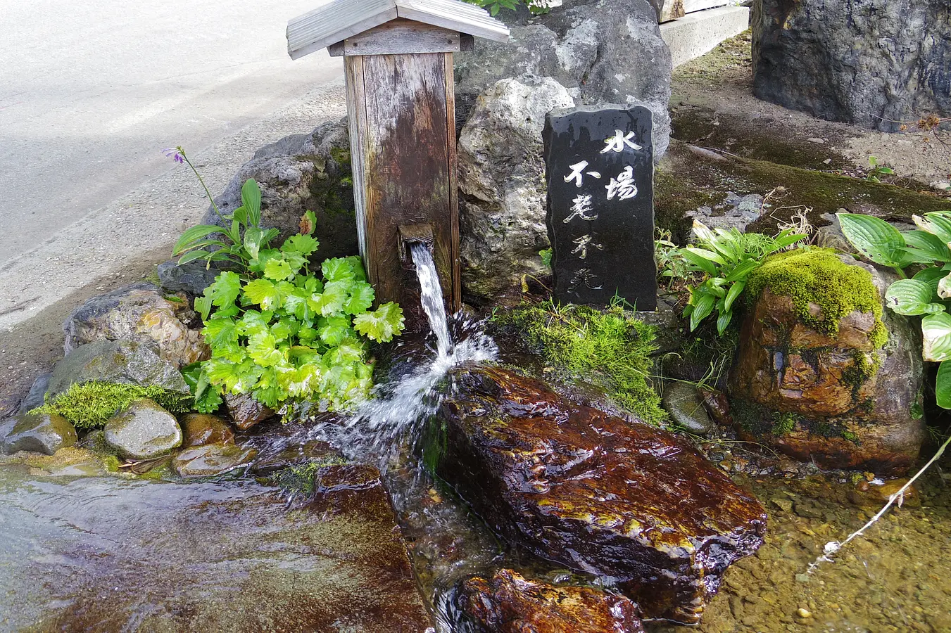 03泥湯温泉