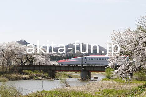 05秋田新幹線こまち