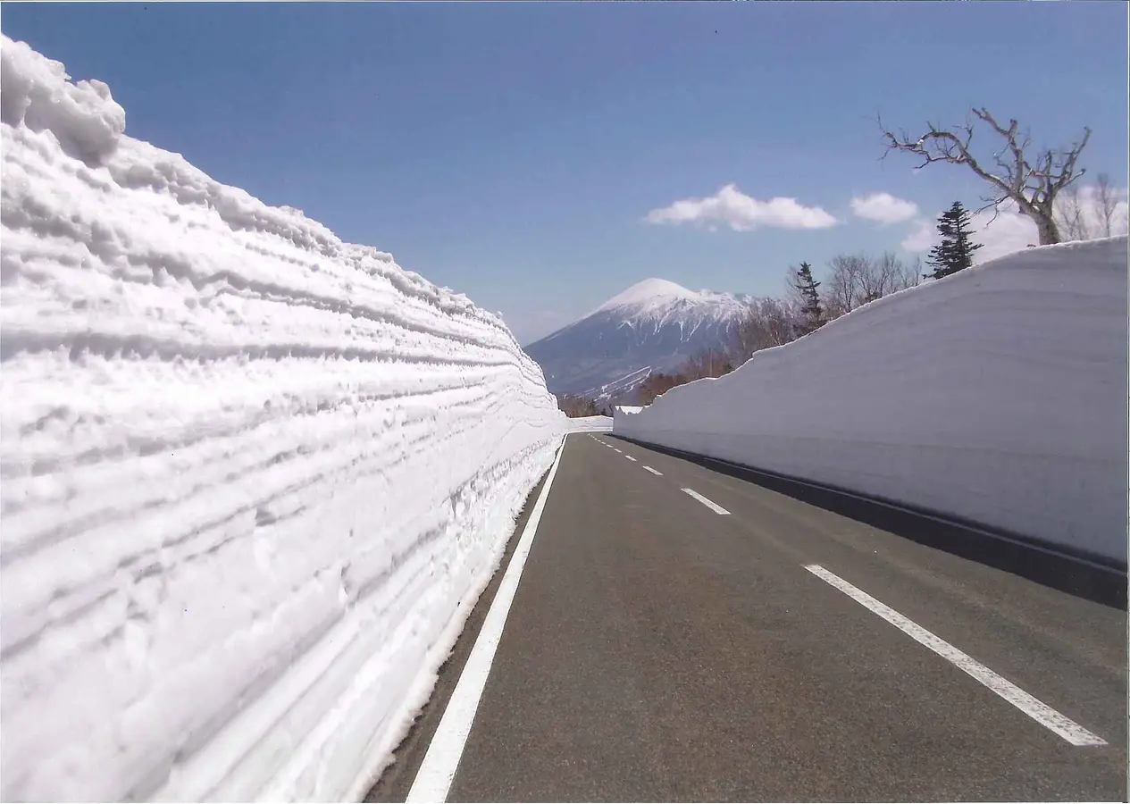 03桜と雪の回廊キャンペーン