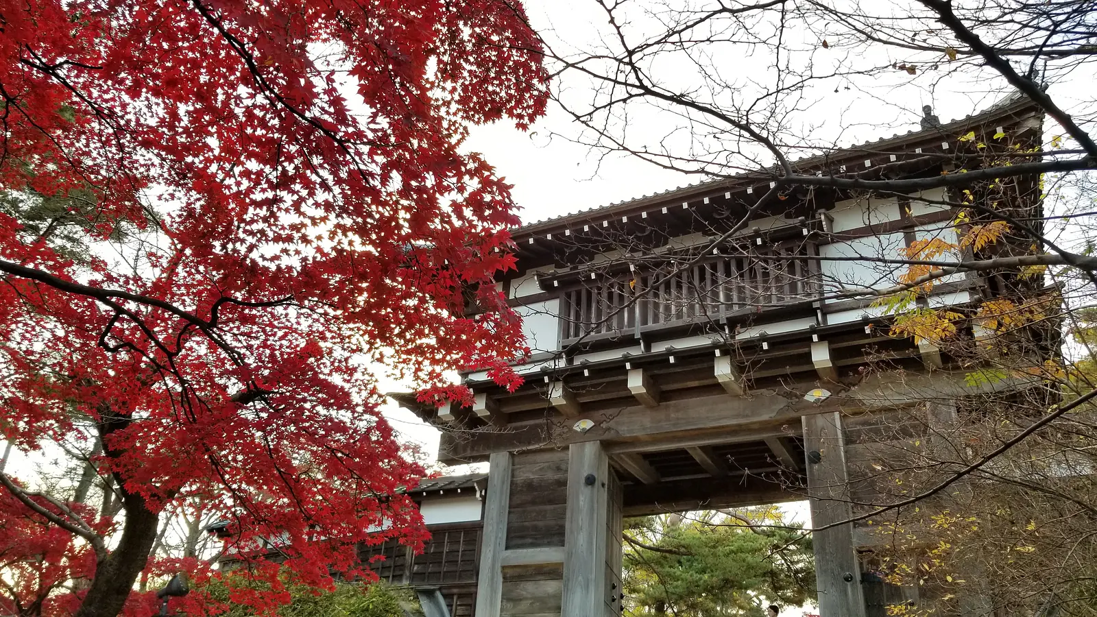 07千秋公園・久保田城