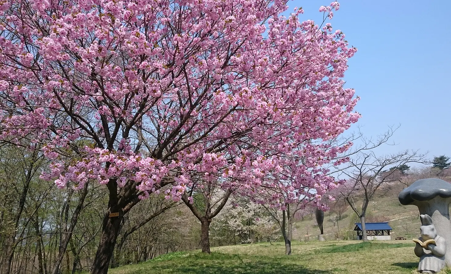 04日本国花苑