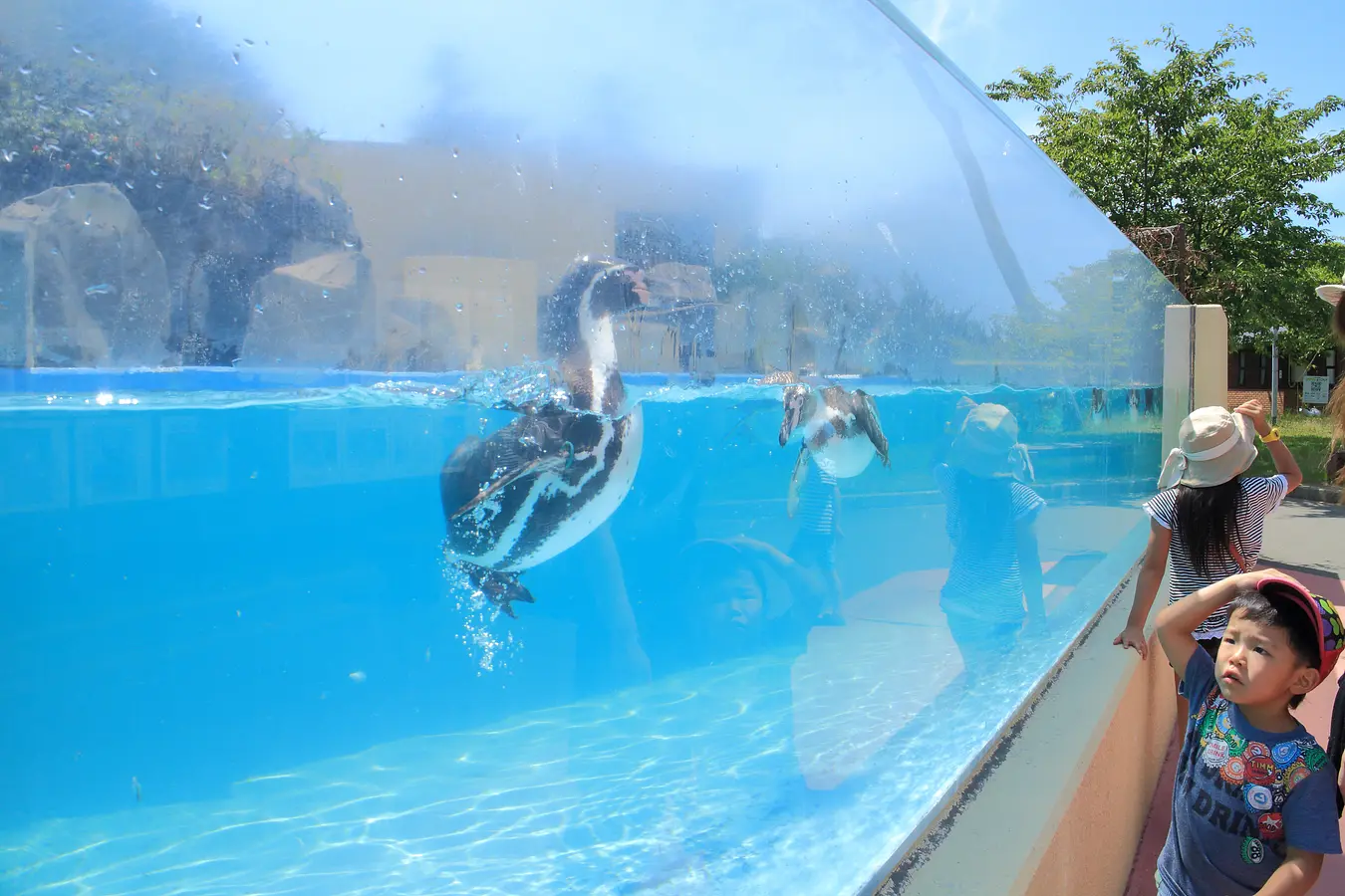 03大森山動物園