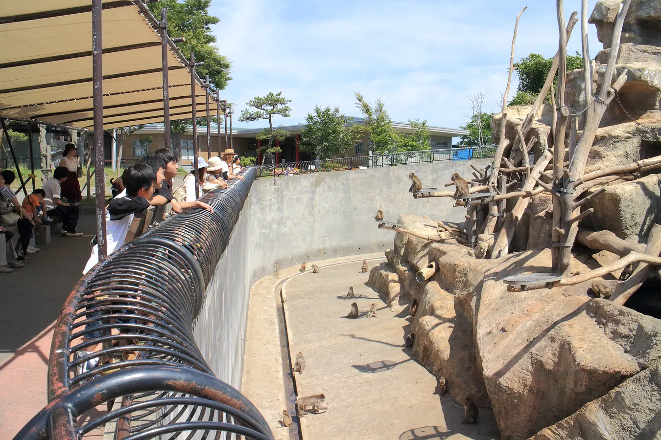 04大森山動物園