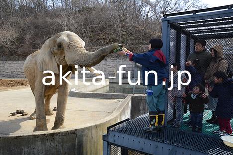 07大森山動物園