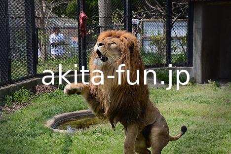 08大森山動物園