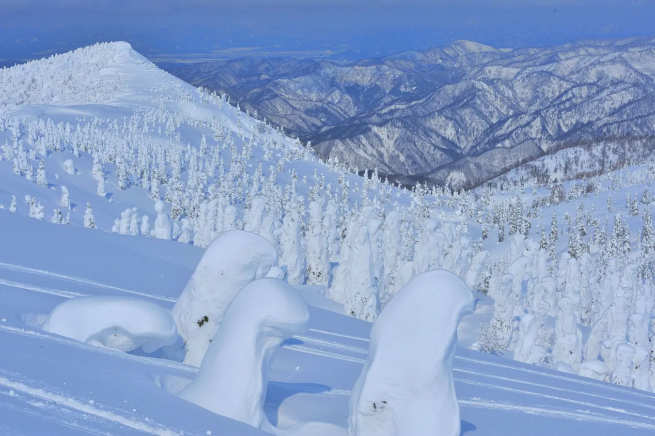 04森吉山の樹氷