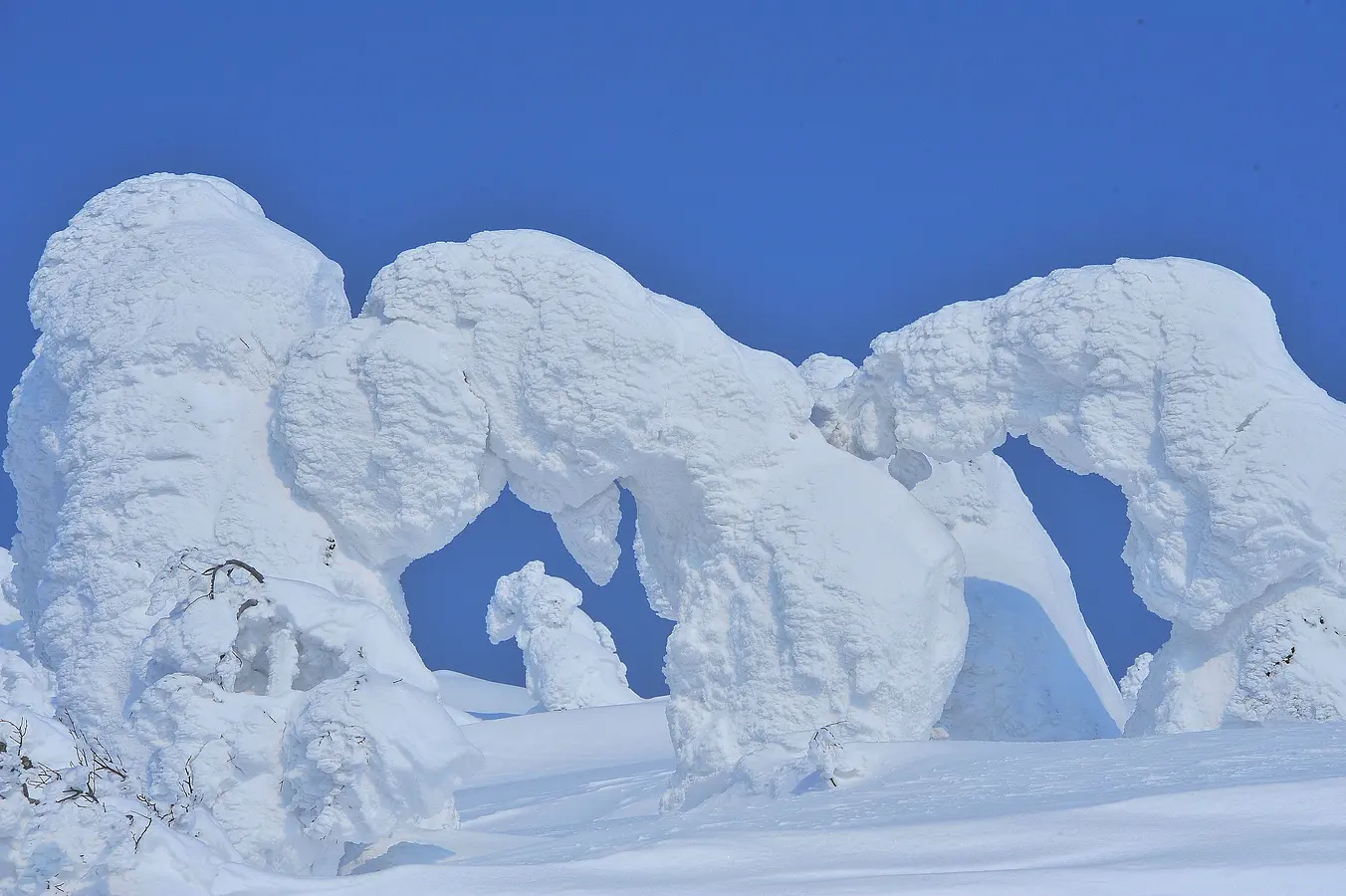 05森吉山の樹氷