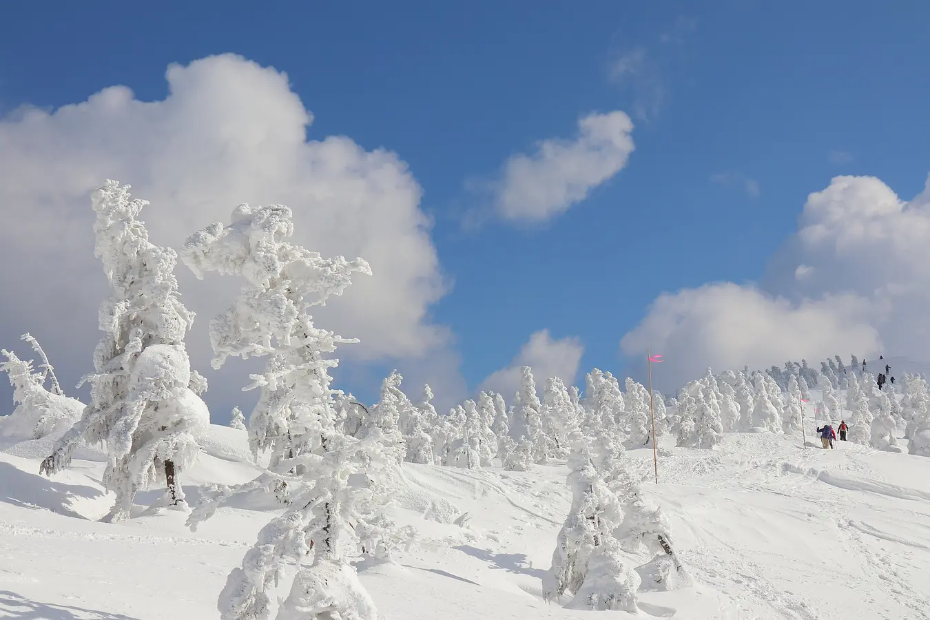 06森吉山の樹氷