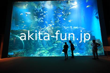 02男鹿水族館　GAO