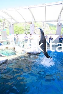 04男鹿水族館　GAO