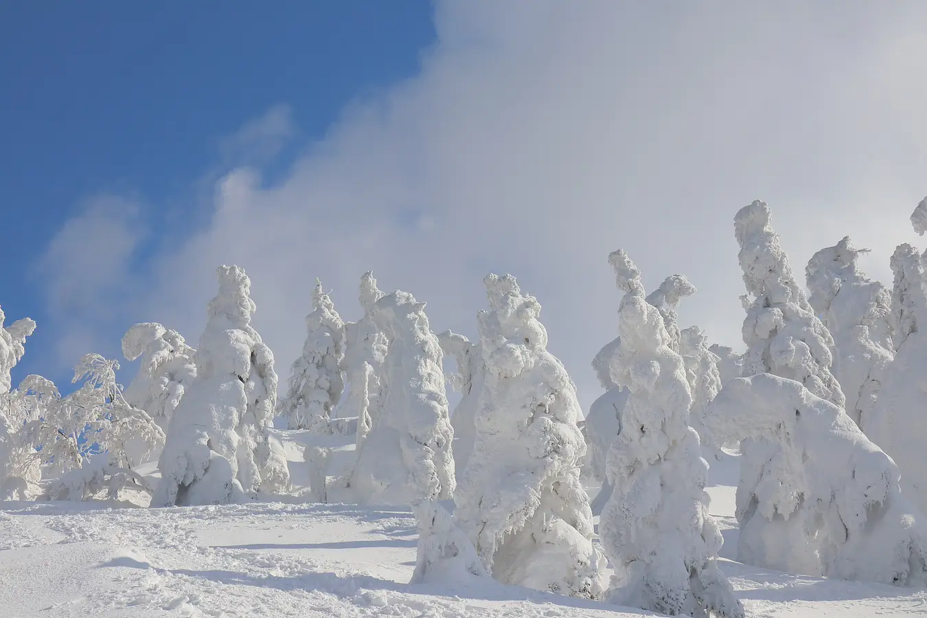 07森吉山の樹氷