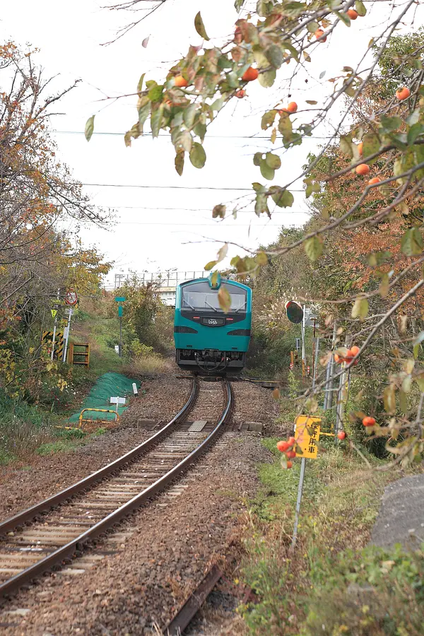 リゾートしらかみ