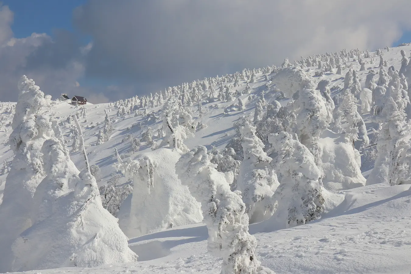 09森吉山の樹氷