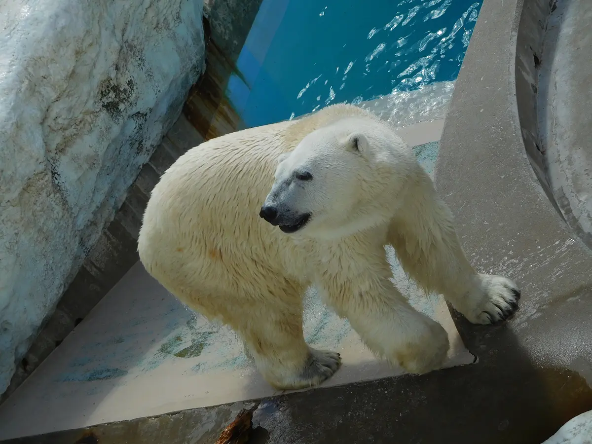 10男鹿水族館　GAO