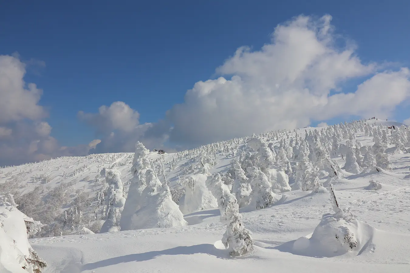 10森吉山の樹氷