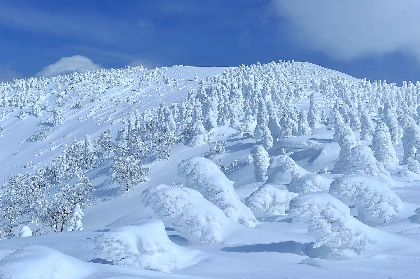 01森吉山の樹氷