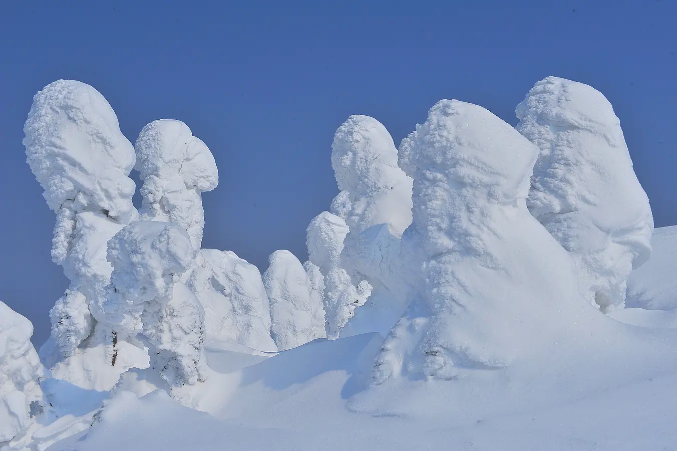 02森吉山の樹氷