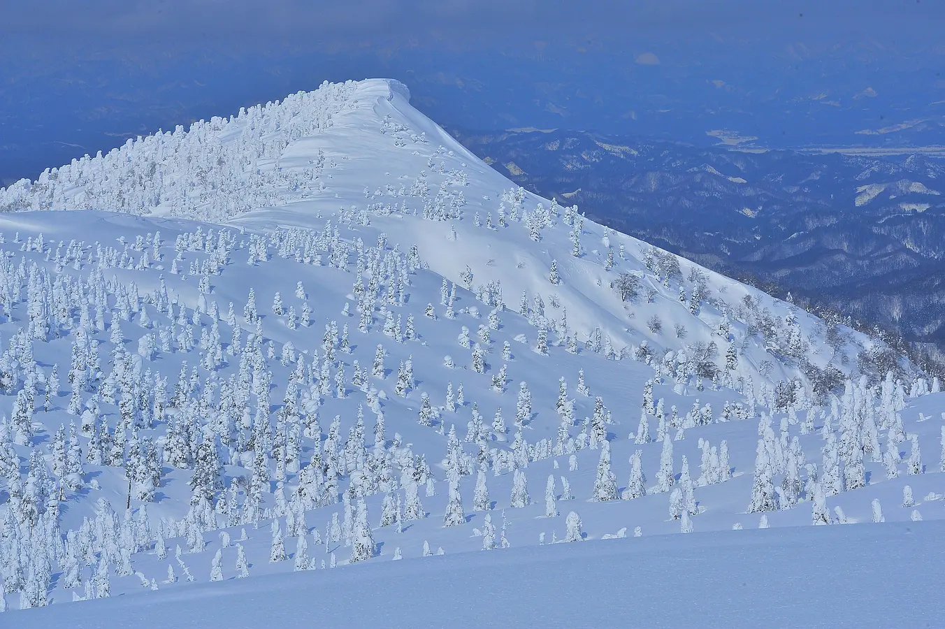 03森吉山の樹氷