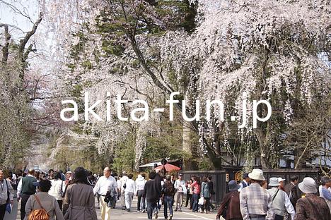 02角館の武家屋敷通り