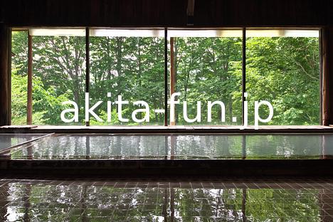 01田沢湖高原温泉郷　田沢プラトーホテル