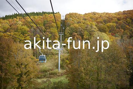 10阿仁ゴンドラ