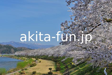 03桧木内川堤の桜並木