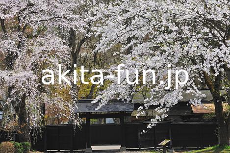 03角館武家屋敷の桜