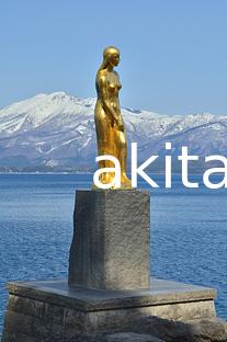 01田沢湖たつこ像